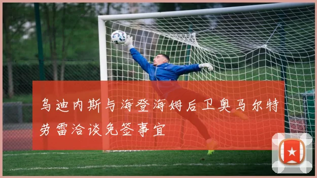 乌迪内斯与海登海姆后卫奥马尔特劳雷洽谈免签事宜